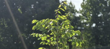 2025.10.01_06h28m52s_021_